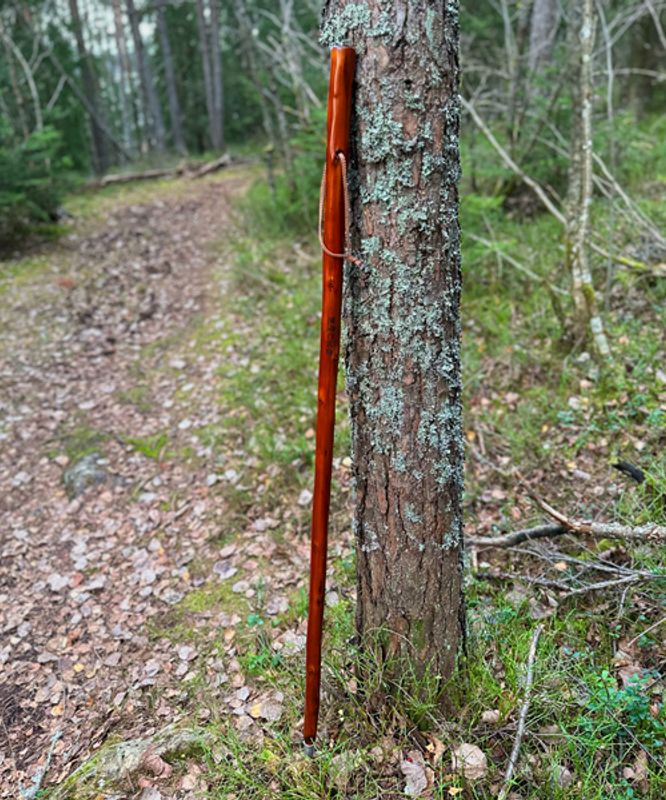 Håndlaget vandrestav i kastanje med kompass