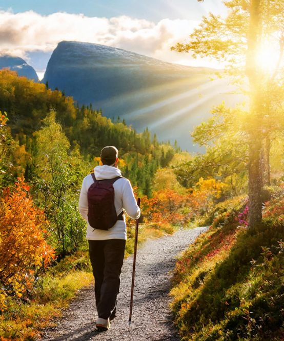 Hovedbilde Håndlaget vandrestav i ...
